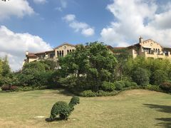 -上海崇明金茂凯悦酒店