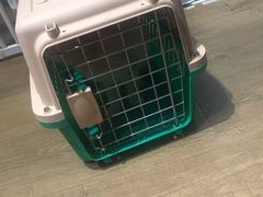 -东方名猫馆·英短金渐层布偶猫舍(环线广场1号楼店)