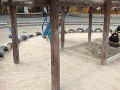 -成飞公园