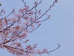 -龙美术馆(西岸馆)