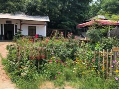 长江野生鮰鱼-花间酒庭院餐厅(谷山店)