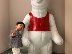 -成都泰迪熊博物馆