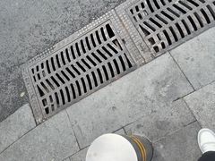 -大董(深圳湾万象城店)