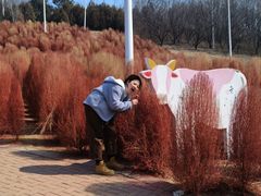 -沈阳植物园