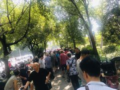 -光明港公园