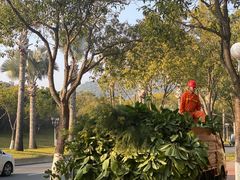 -厦门国家会计学院