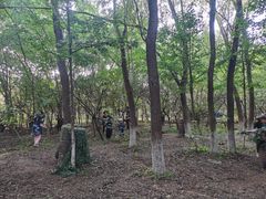 -亲兄弟真人CS团建拓展基地