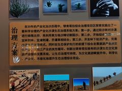 -银肯塔拉沙漠生态旅游景区