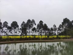 -中国天府农业博览园