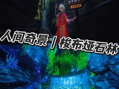 -梭布垭石林景区