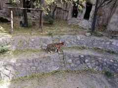 -北京动物园