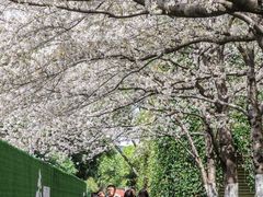 -昆山城市公园