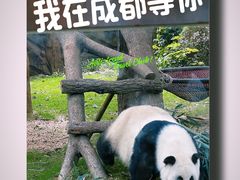 -成都动物园