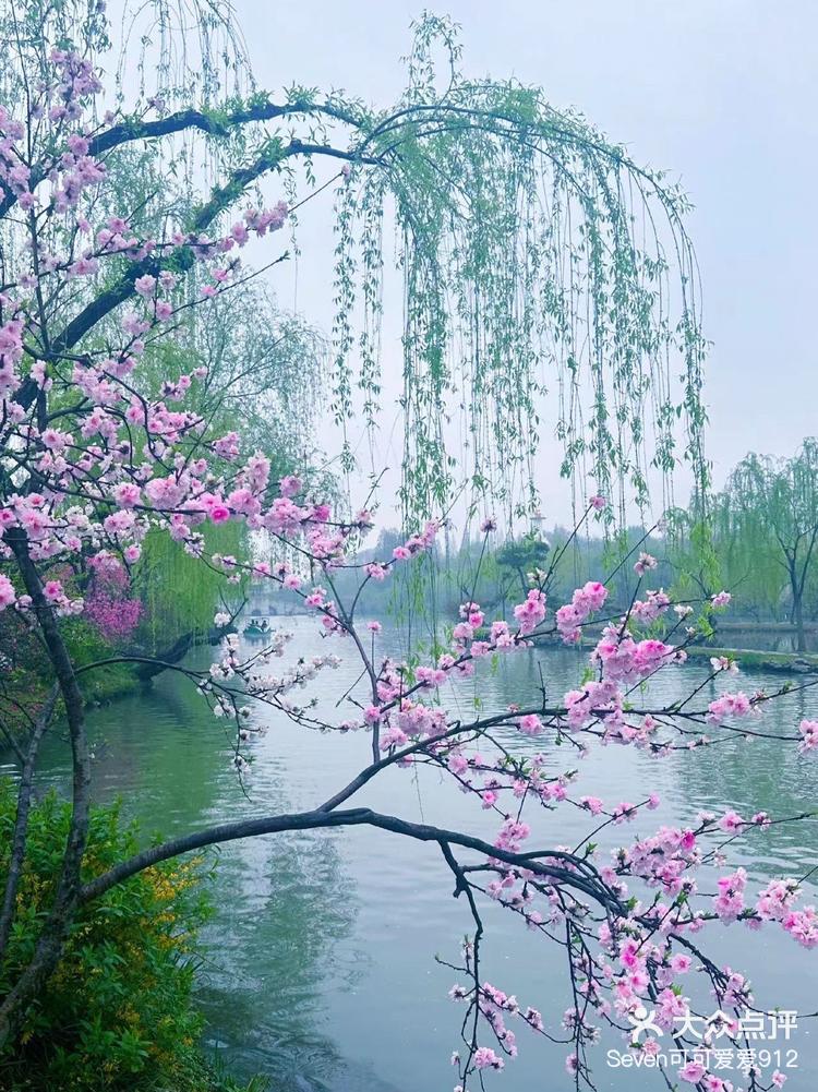 江南春天看扬州瘦西湖绝了