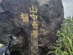 -东莞市大岭山森林公园
