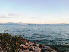 -深圳湾公园(南山区)