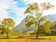 -明堂山风景区
