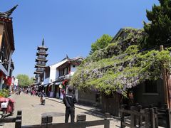 -嘉定紫藤园
