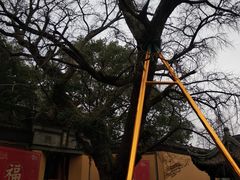 -无锡惠山寺