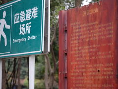 -神仙树公园