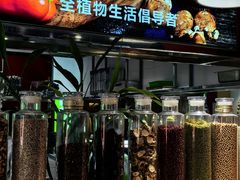 -素心素食(翠苑店)