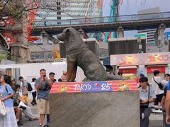 -涩谷区