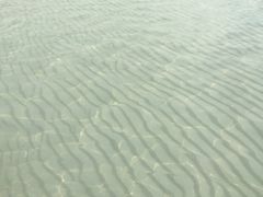 -白沙滩