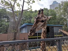 -荆州中山公园动物园