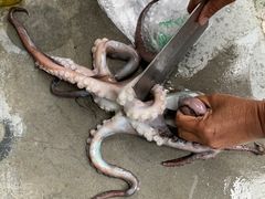 -鸿港海鲜批发市场