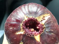 -武汉世外桃源农庄