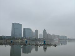 -金沙湖公园
