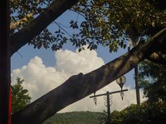 -白鹭洲公园