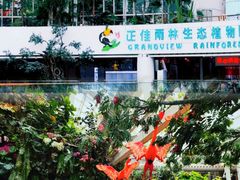 -正佳雨林生态植物园