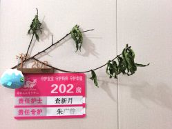 -安琪朵朵独栋花园月子中心