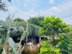 -悦哉·派对·草坪婚礼·围炉煮茶(三圣乡店)