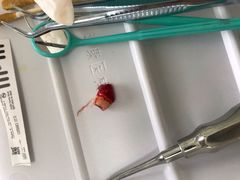-重庆医科大学附属口腔医院(冉家坝院区)
