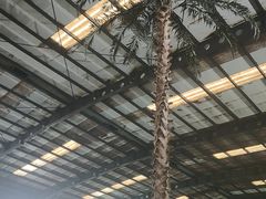 -南宫温泉水世界