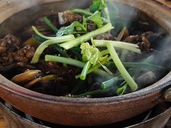 -霞姐屯昌枫木香草鸭店(海螺店)