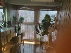 -施奈儿.洗头頭療.按摩SPA.采耳(上梅林店)