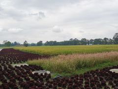 -中国天府农业博览园