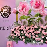 鲜芒多新品推荐 浪漫与口感的完美结合