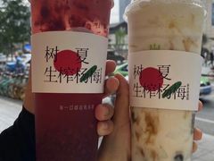 -树夏(金楠天街店)