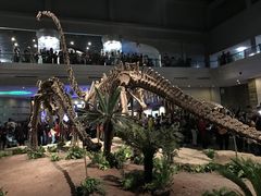 -自贡恐龙博物馆