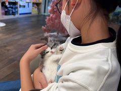 -爪爪喵星球·猫舍(卓悦中心店)