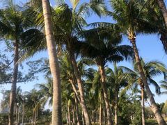 -白沙门生态公园