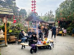 -青城甲(青城山店)