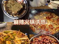 -小饕荟雅安贡椒鱼鲜馆(广福桥店)