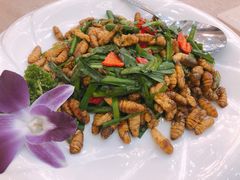 -轩记海鲜餐厅·四十五年老字号·经典粤菜(西区彩虹店)