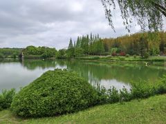 -宜兴龙背山森林公园