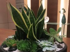 -臻萃轩中餐厅(国家会展中心店)